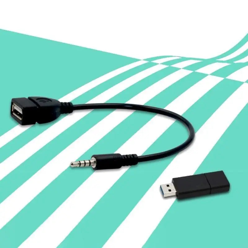 3.5mm AUX to USB Adapter Cable (20cm)